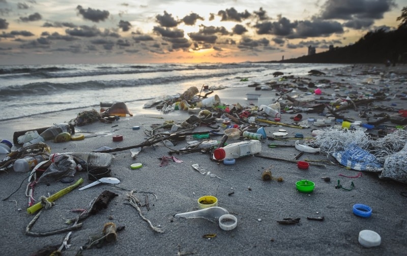 A slew of discarded plastics washes ashore, littering the beachfront and highlighting the growing environmental toll of unchecked plastic pollution.