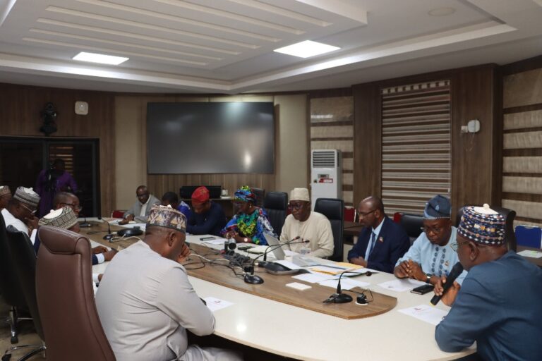 TCN Sets Up Strategic Committee to Boost Power Transmission Efficiency and Sector Recovery