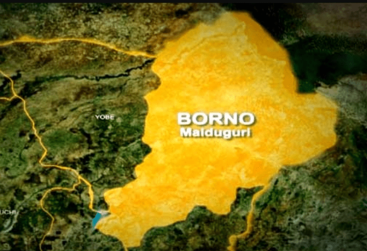 Live map of borno state of Nigeria