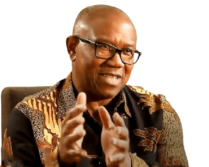 Peter Obi on PDP and ADC positions