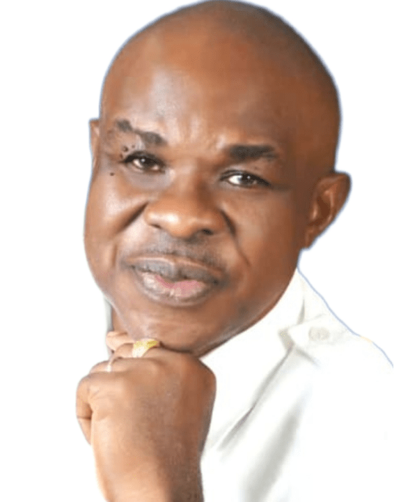 President of the Rotary Club of Abuja Sapphire, Dr Pat Ifeanyi Oramah