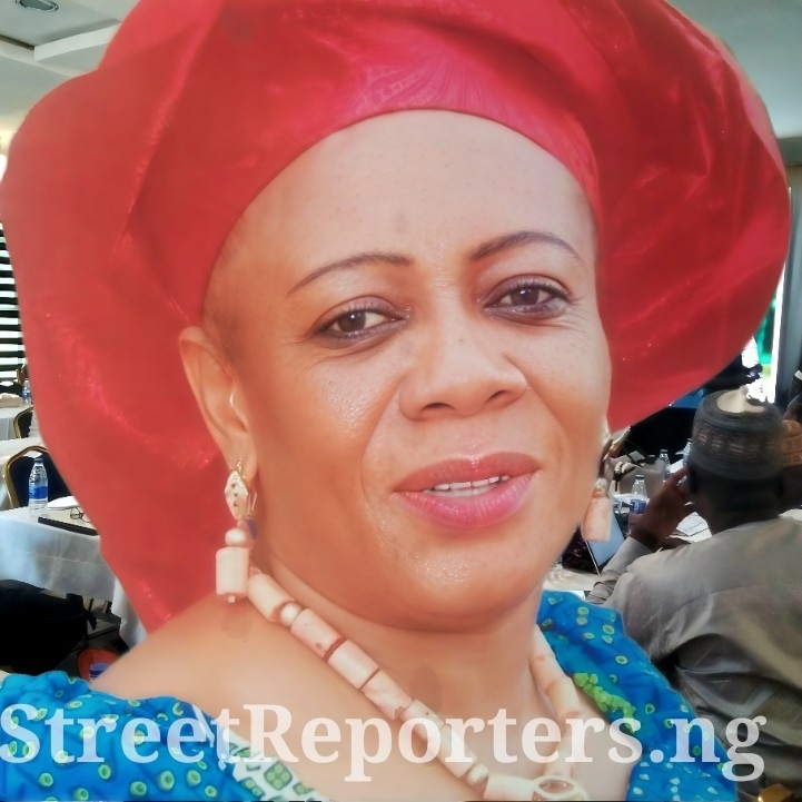 Chief (Mrs.) Ifeyinwa Arafat Ezenwa, Ijele Nwanyị Igbo Nile, Chairperson of the Southeast Patriots Advocacy Committee