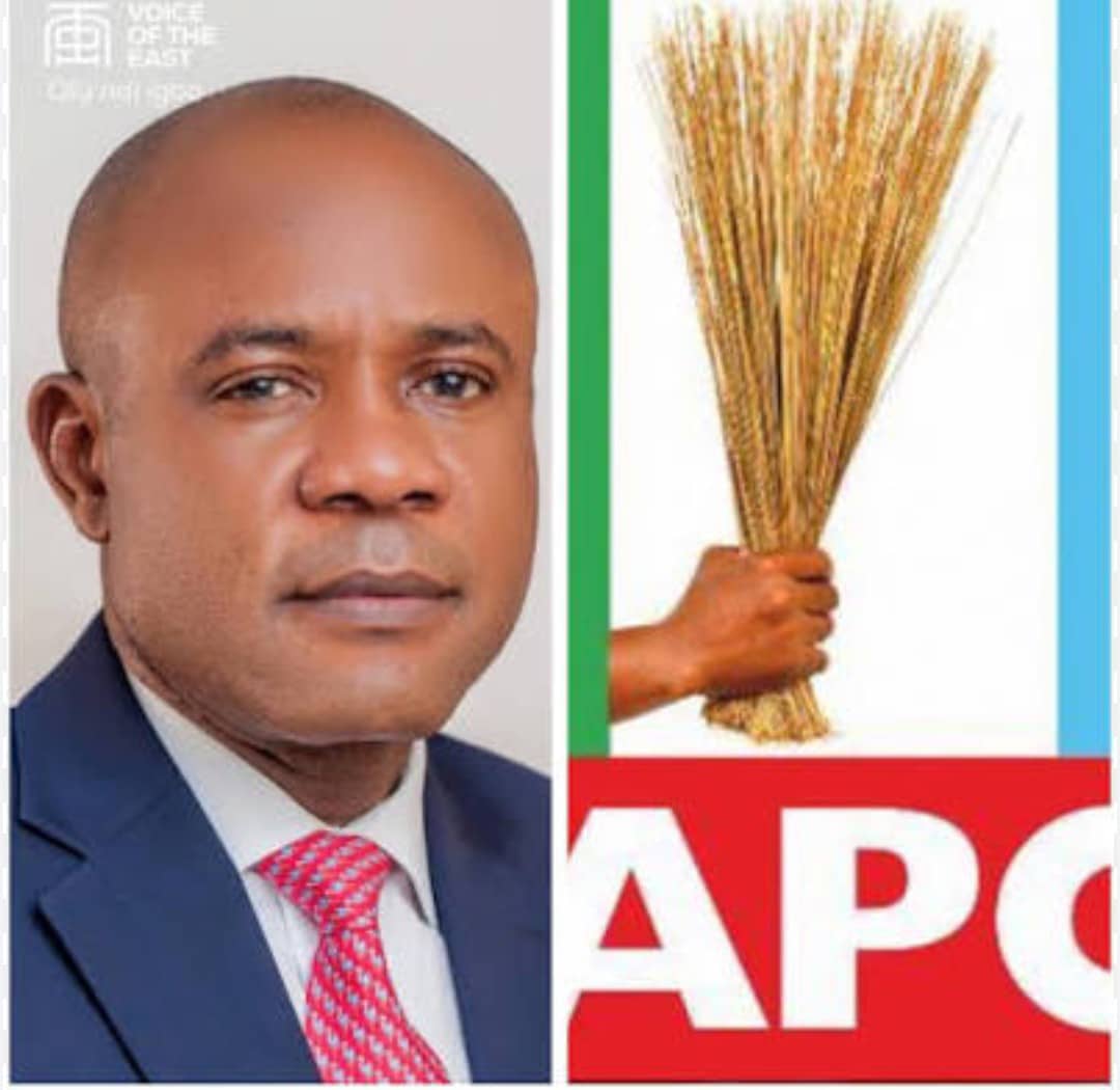 Enugu Governor Peter Ndubuisi Mbah Defection, Peter Mbah APC, Enugu PDP to APC, South East Political Realignment, Voice of Enugu in Abuja, Enugu State Reforms, Fairness and Respect in Politics,