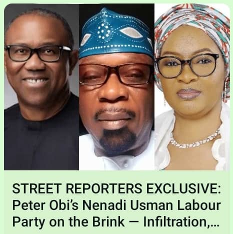 Double-Down Disclaimer: Akeni Clarifies Position on Peter Obi and Nenadi Usman in Street Reporters Viral Exclusive, Says "We Can’t Fight Tyranny with Toothpicks"