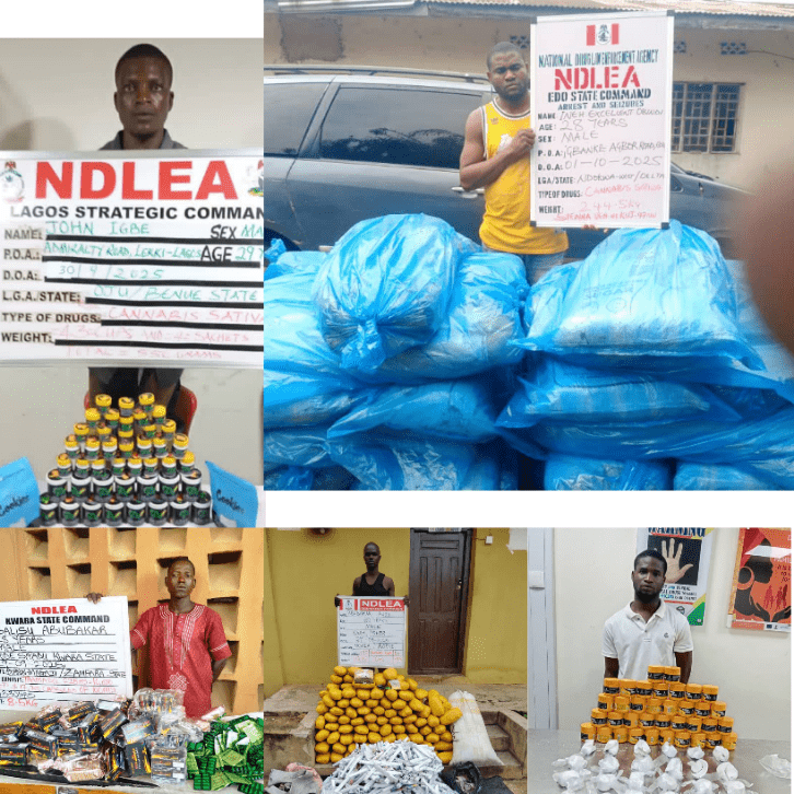 NDLEA Smashes Two Cocaine Cartels Behind Six UK-Bound Shipments, Arrests Mastermind and Five Others