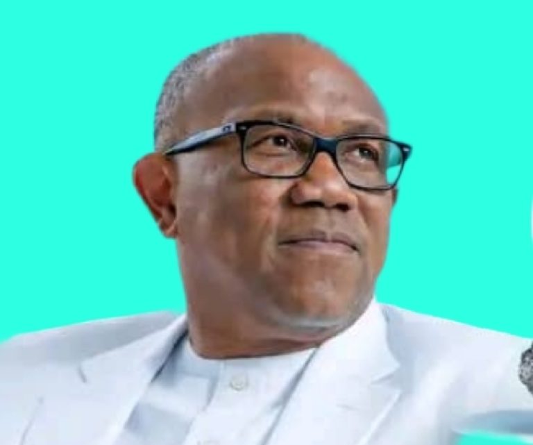 The presidential front-runner of the African Democratic Congress (ADC) and former presidential candidate of the Labour Party in the 2023 election, Peter Obi, has explained why more than half of Nigeria’s population continues to live below the poverty line despite the country’s vast natural and human resources.