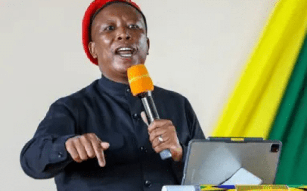 Leader South African opposition politician and founder of the Economic Freedom Fighters (EFF), Julius Malema