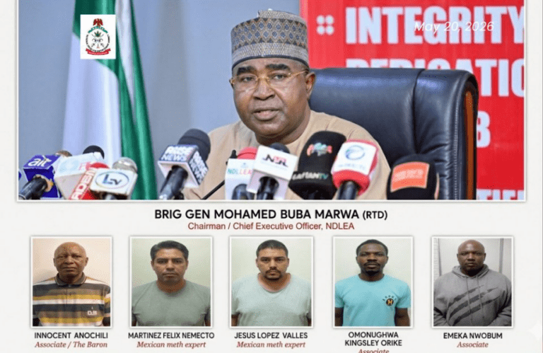 NDLEA Busts N480bn Meth Empire, Arrests Mexican Drug Experts in Massive Ogun Forest Raid